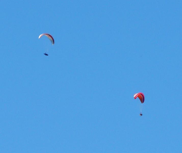 Donderdag 13-6-2013 (34).JPG